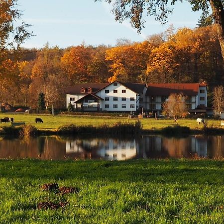 Landgasthof Rotlipp Gaestezimmer Ortenberg  Exteriör bild