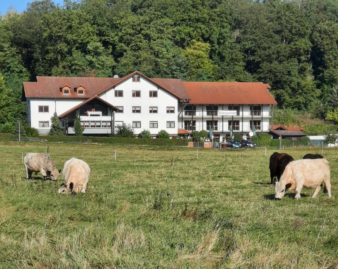 Landgasthof Rotlipp Gaestezimmer Ortenberg  Exteriör bild