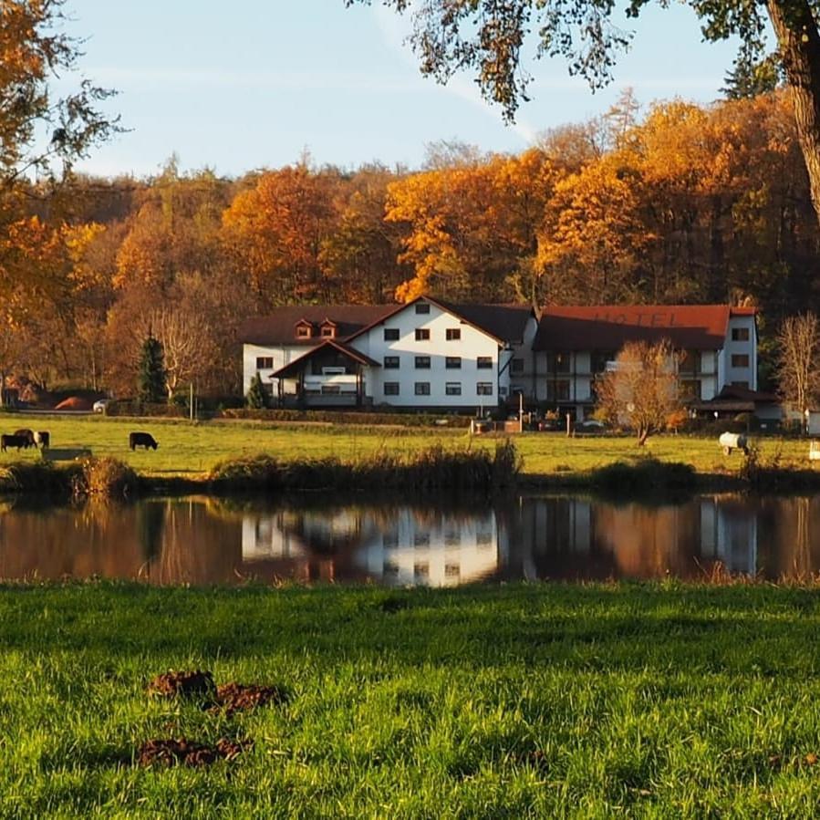 Landgasthof Rotlipp Gaestezimmer Ortenberg  Exteriör bild