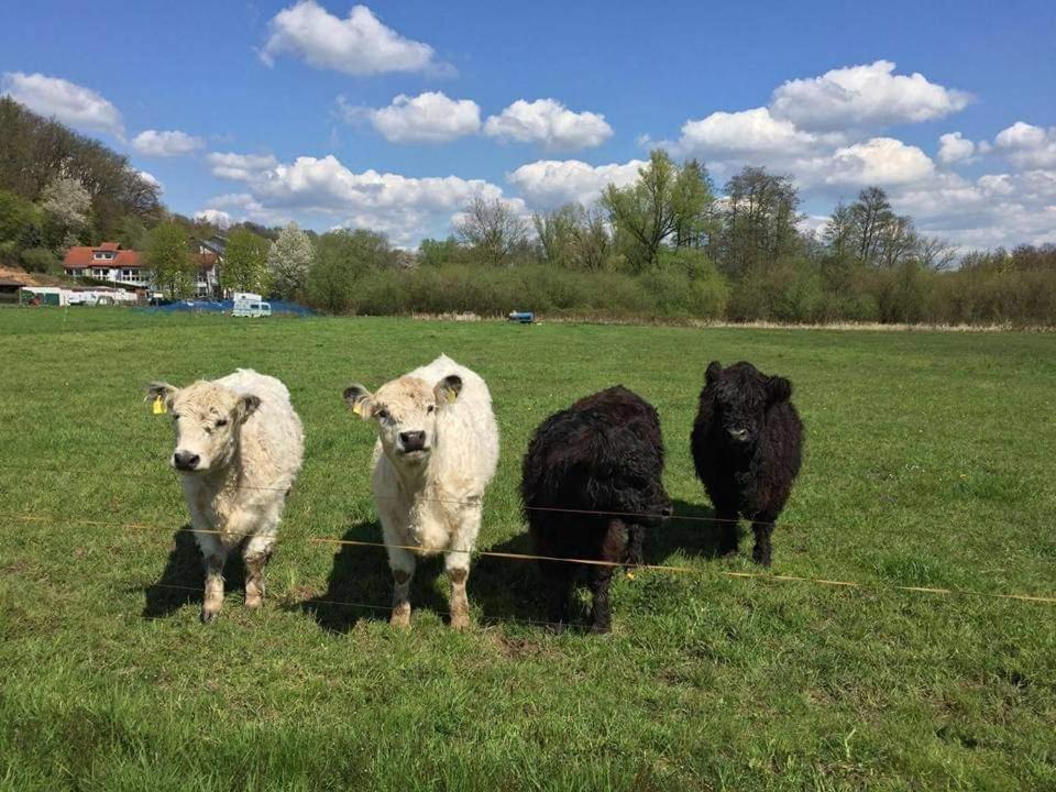 Landgasthof Rotlipp Gaestezimmer Ortenberg  Exteriör bild