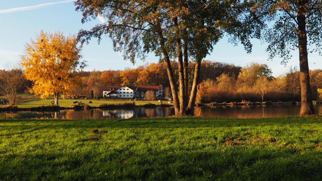 Landgasthof Rotlipp Gaestezimmer Ortenberg  Exteriör bild
