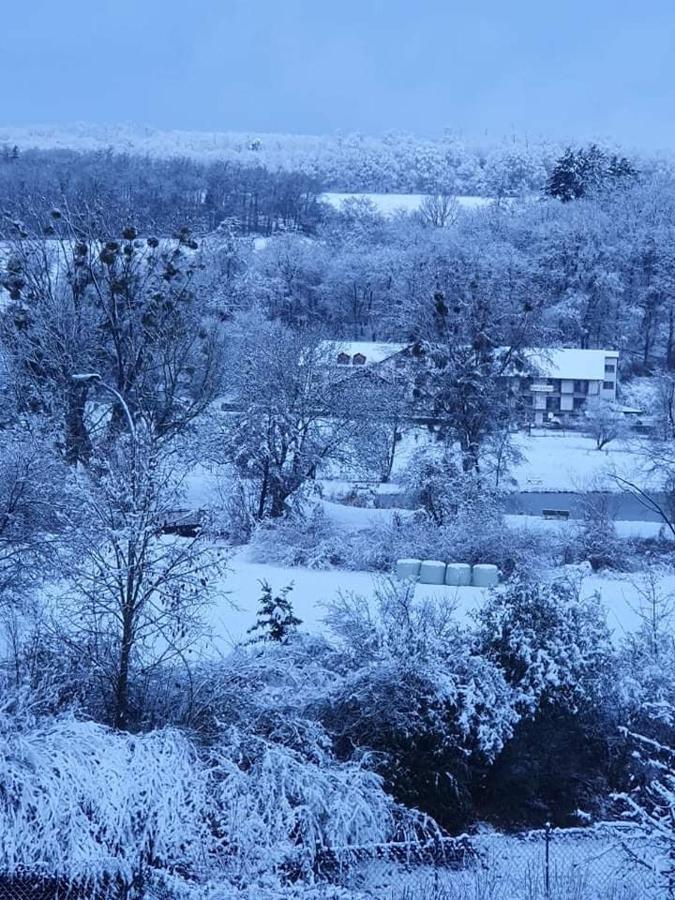 Landgasthof Rotlipp Gaestezimmer Ortenberg  Exteriör bild